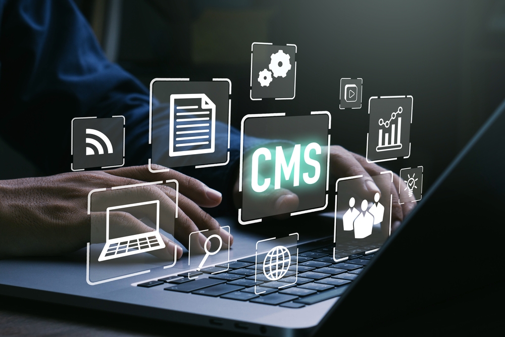 CMSの代表的な種類